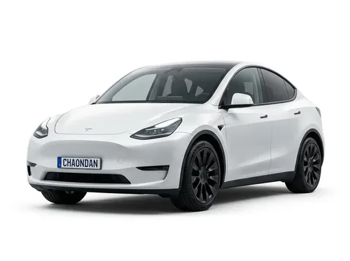 New Model Y